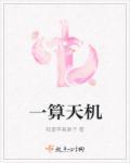 天机妙算